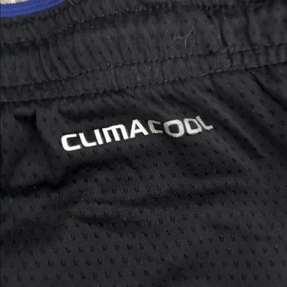 Adidas ClimaCool Men’s Shorts Size L